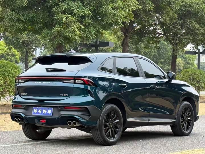 Фото 7 - Dongfeng Forthing T5 EVO