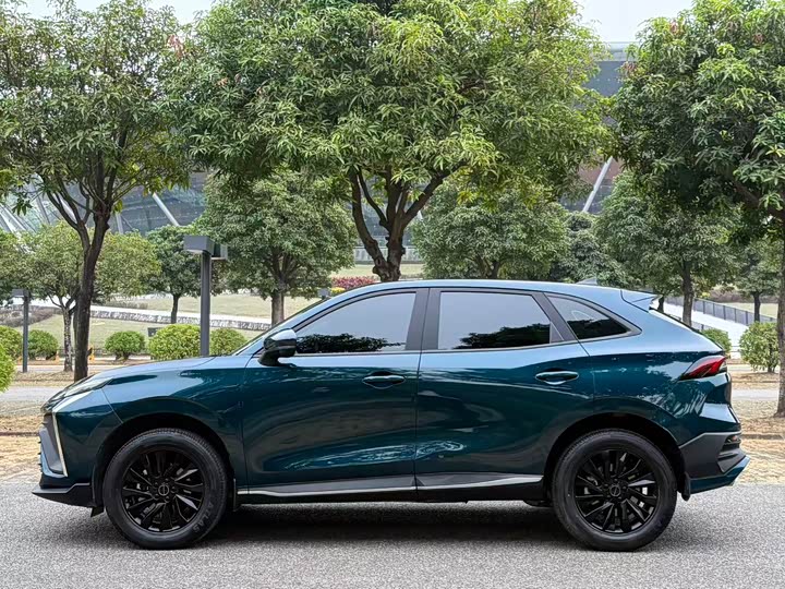 Фото 8 - Dongfeng Forthing T5 EVO