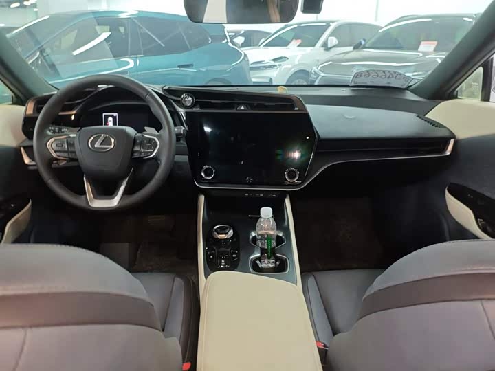 Фото 12 - Lexus RZ