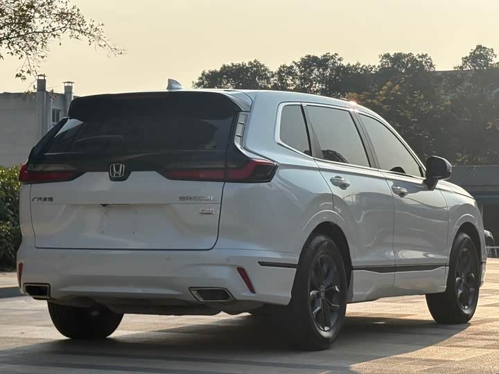 Фото 7 - Honda Breeze