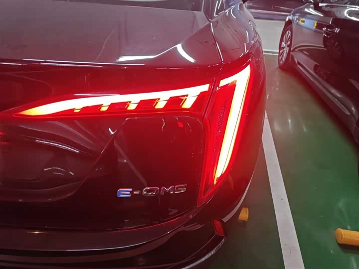 Фото 8 - Hongqi E-QM5