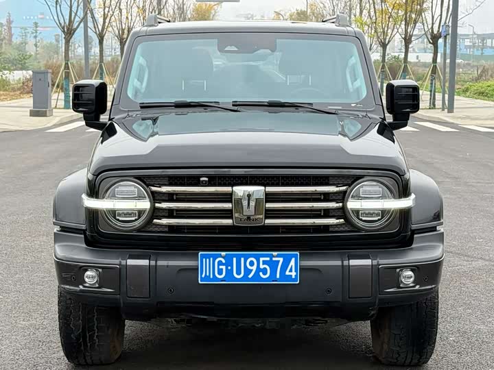 Фото 2 - Tank 300