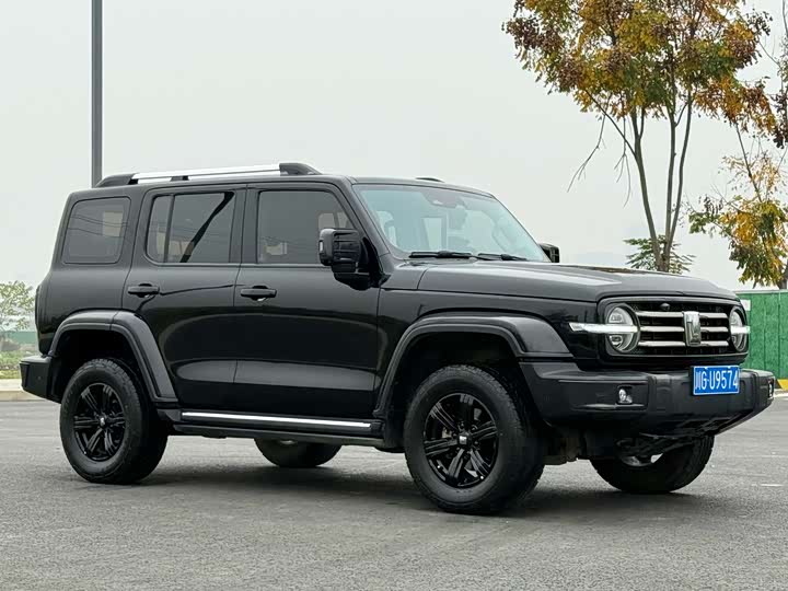 Фото 3 - Tank 300