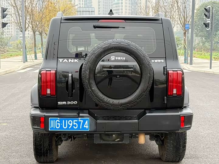 Фото 6 - Tank 300