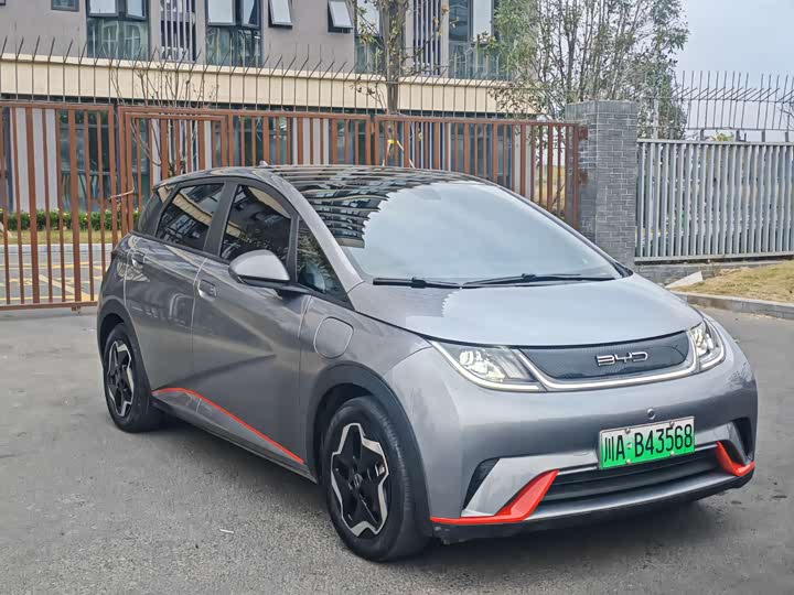 Фото 2 - BYD Dolphin