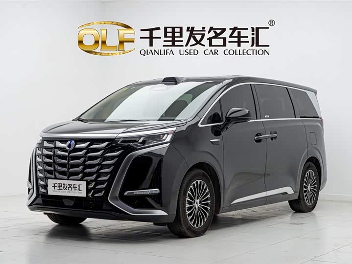 Фото 1 - Denza D9