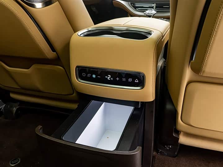 Фото 11 - Denza D9