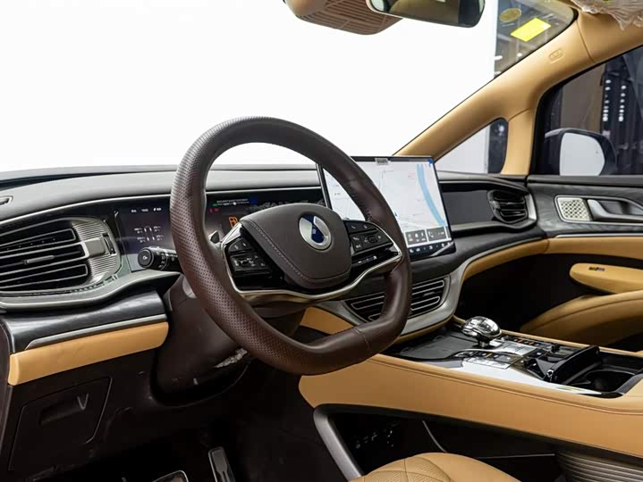 Фото 14 - Denza D9