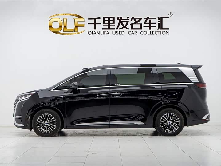 Фото 19 - Denza D9