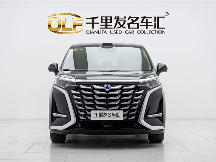 Фото 2 - Denza D9