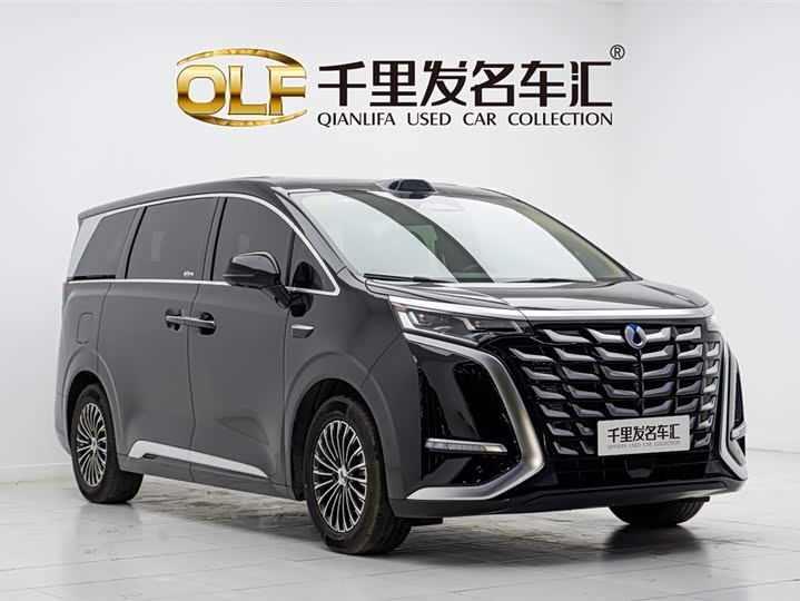 Фото 20 - Denza D9