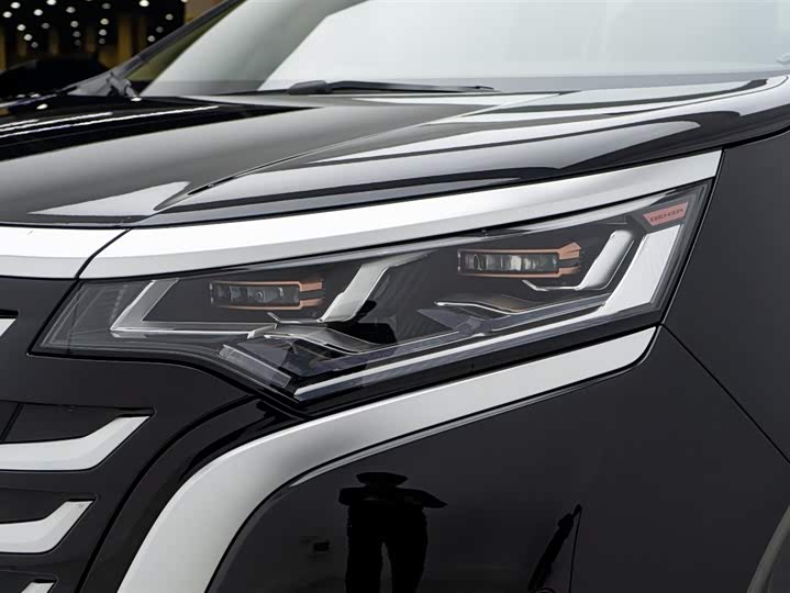 Фото 23 - Denza D9