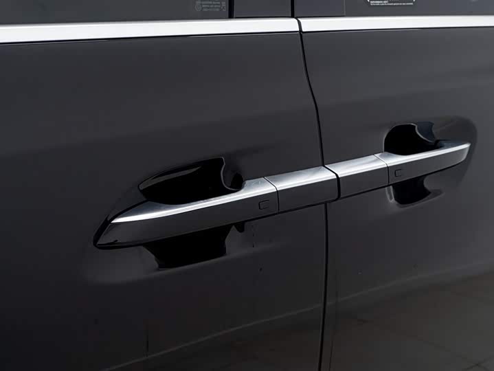 Фото 25 - Denza D9