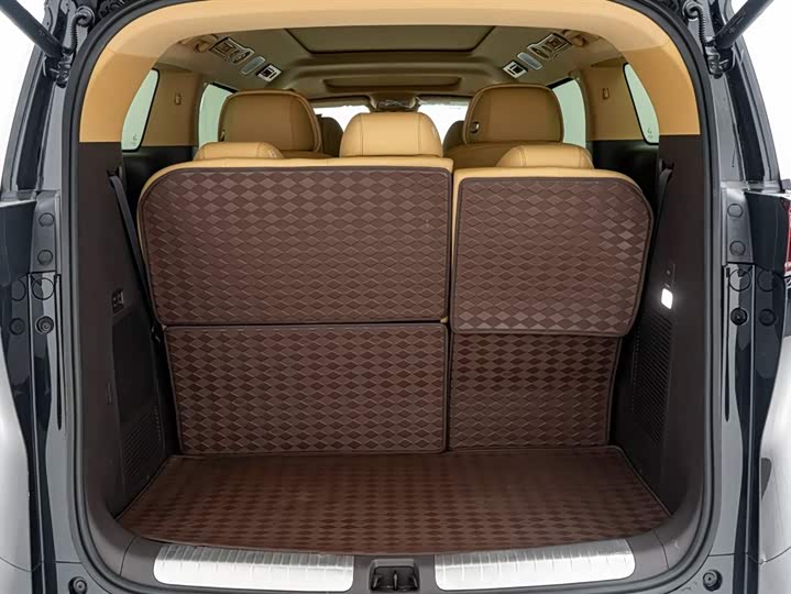 Фото 27 - Denza D9