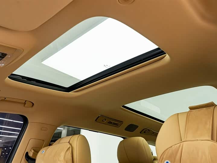 Фото 3 - Denza D9