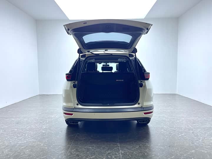 Фото 6 - Honda Breeze