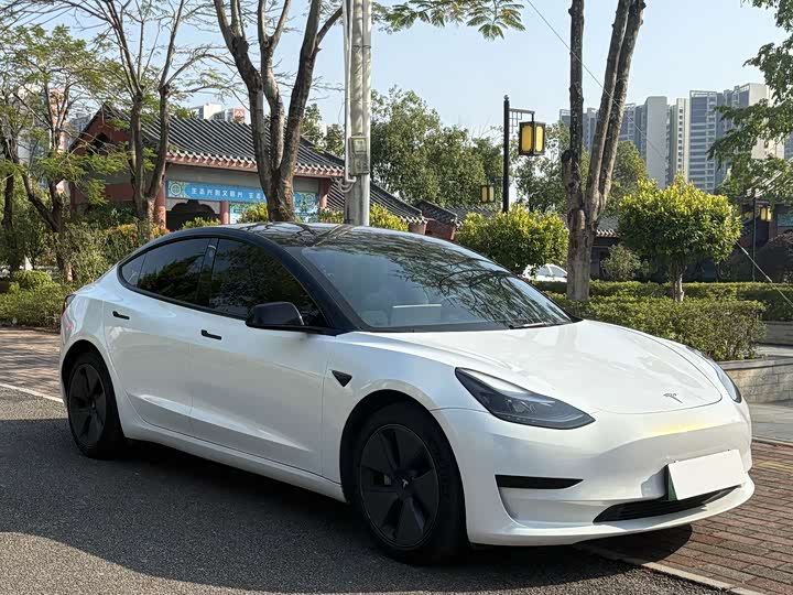 Фото 3 - Tesla Model 3