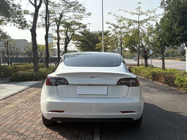 Фото 8 - Tesla Model 3