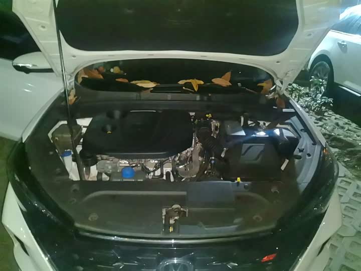 Фото 11 - Changan Eado Plus