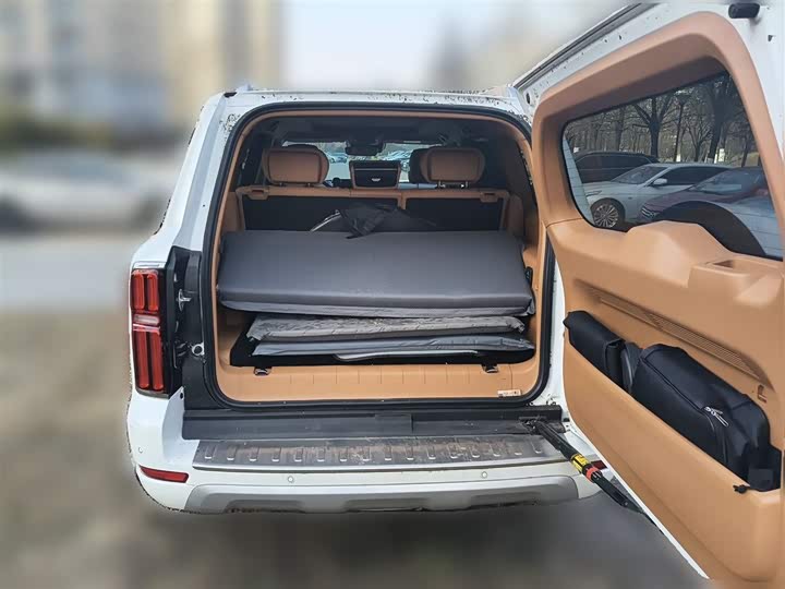 Фото 10 - Tank 500 Hybrid