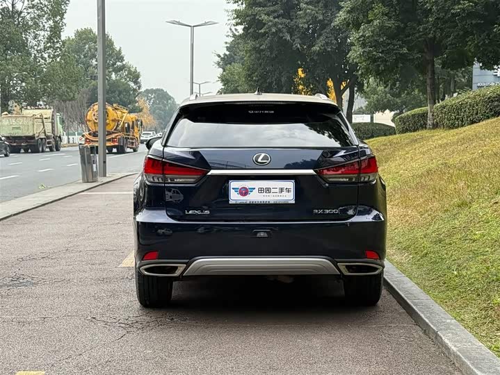 Фото 4 - Lexus RX