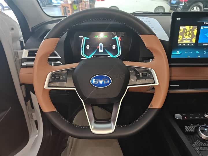 Фото 11 - BYD E2