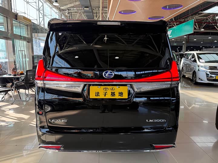 Фото 25 - Lexus LM