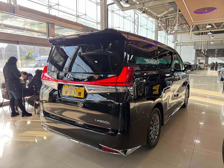 Фото 27 - Lexus LM