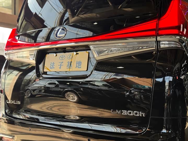 Фото 28 - Lexus LM