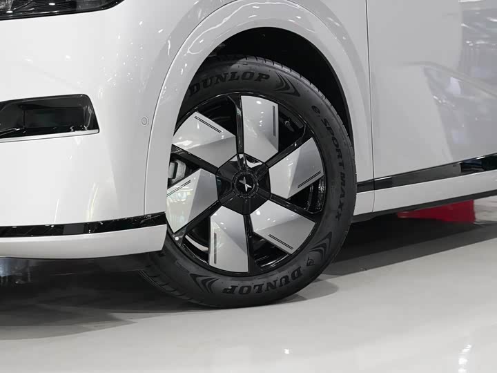 Фото 3 - XPeng X9