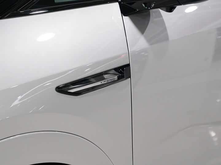 Фото 4 - XPeng X9