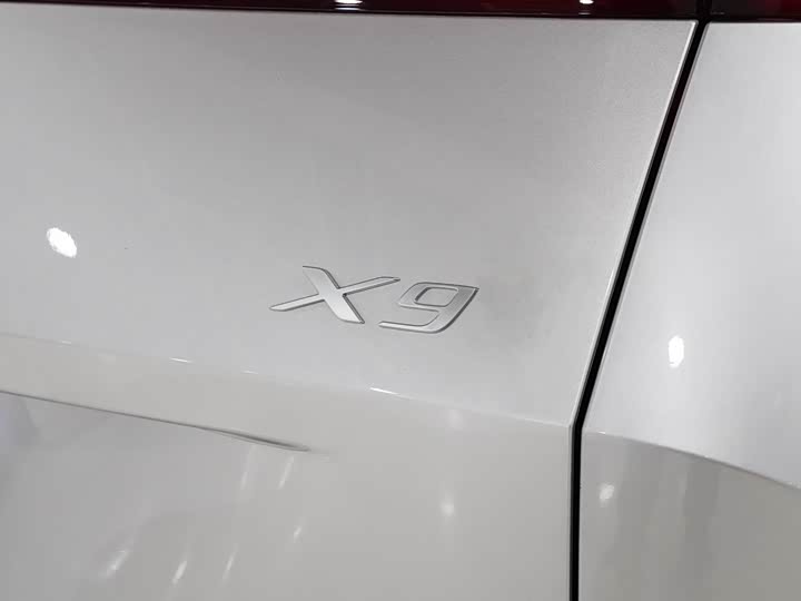 Фото 6 - XPeng X9