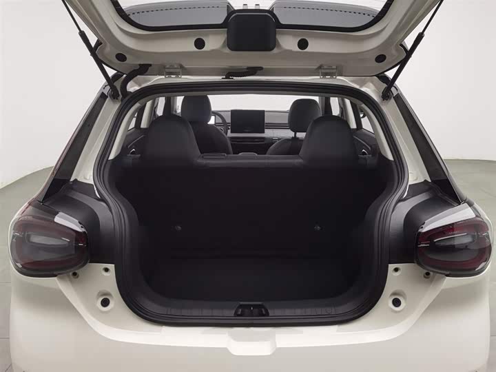 Фото 16 - Dongfeng Nammi 01