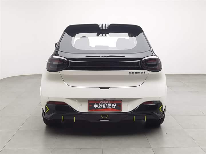 Фото 4 - Dongfeng Nammi 01