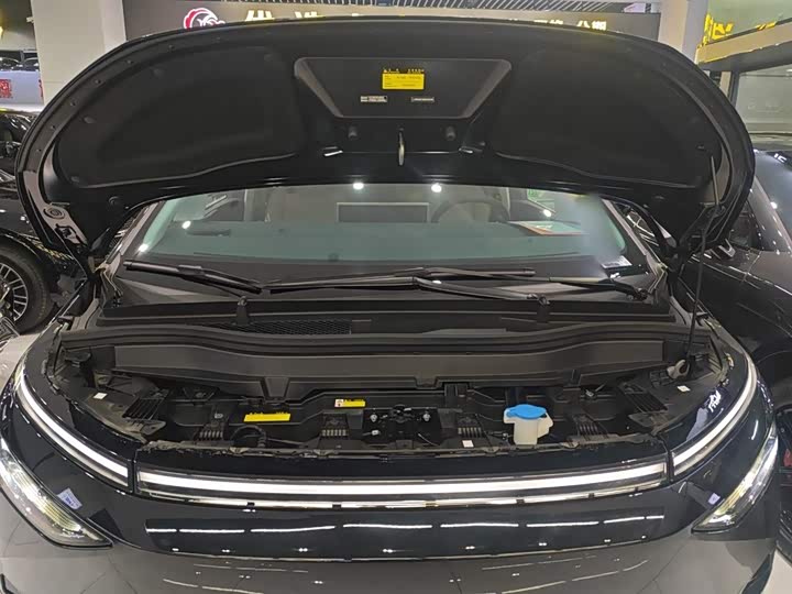 Фото 10 - XPeng X9