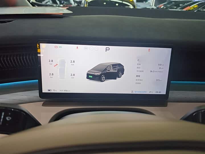 Фото 4 - XPeng X9