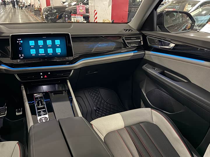 Фото 15 - Volkswagen Teramont X