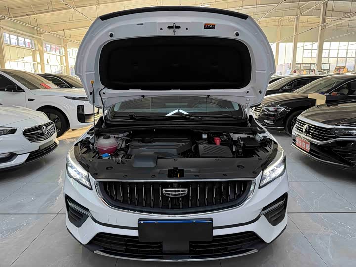 Фото 19 - Geely Emgrand GS