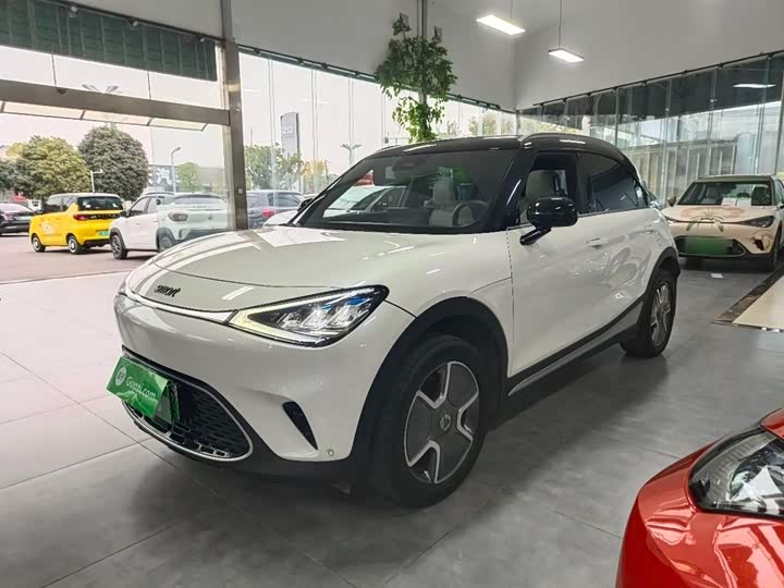 Фото 2 - Smart #1