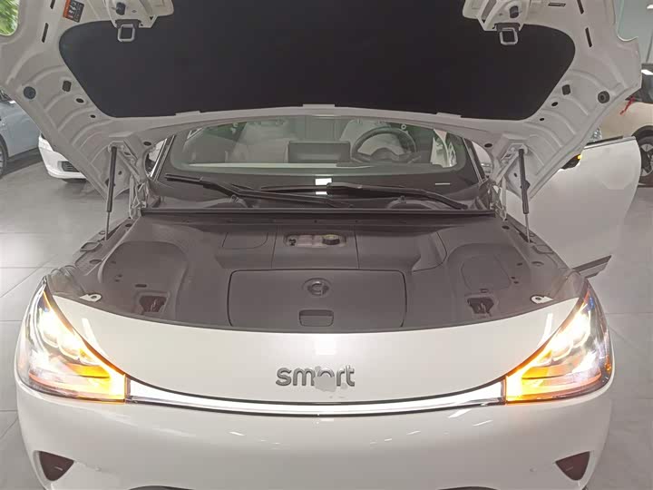 Фото 20 - Smart #1