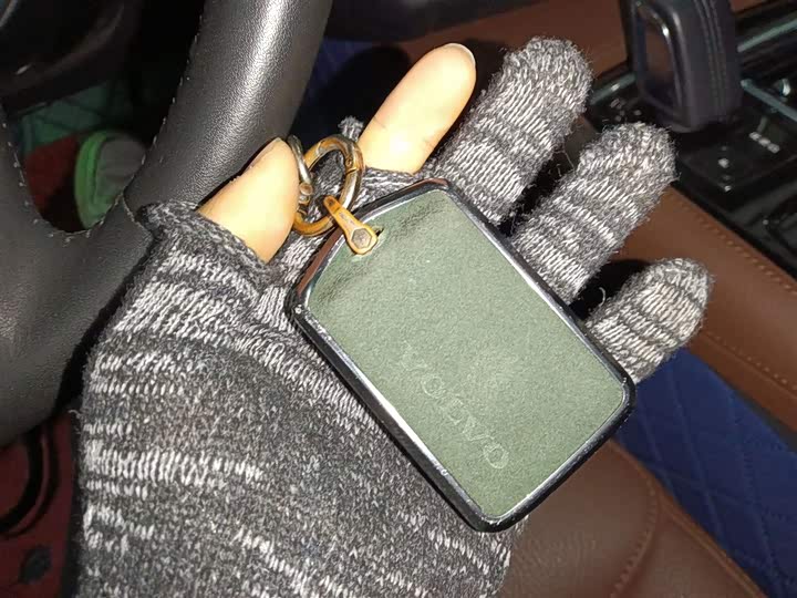 Фото 8 - Volvo S90 Hybrid