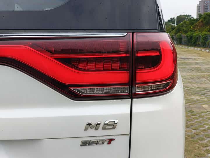 Фото 8 - GAC Trumpchi M8