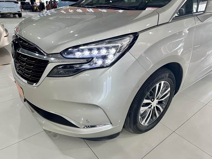 Фото 4 - Buick GL8 ES