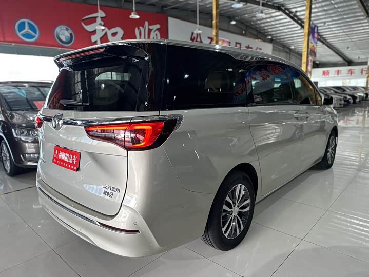 Фото 5 - Buick GL8 ES