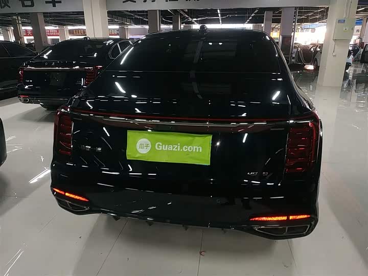 Фото 6 - Hongqi H9