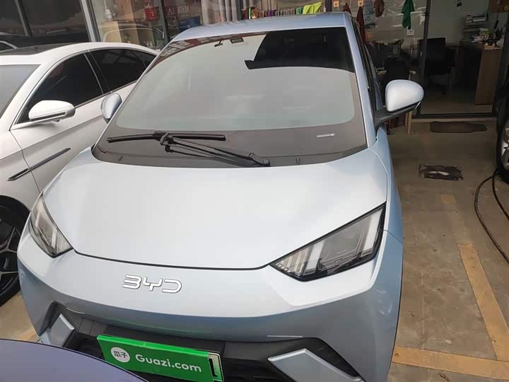 Фото 3 - BYD Seagull