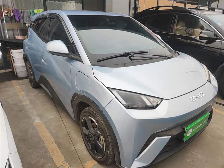 Фото 4 - BYD Seagull