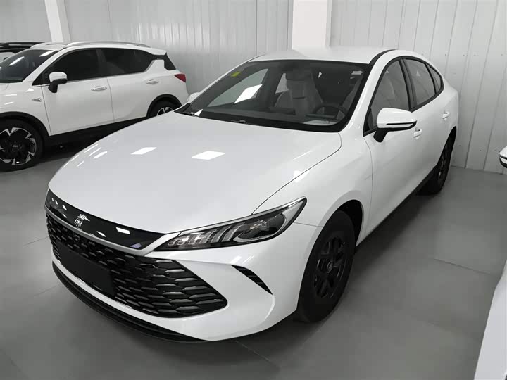 Фото 1 - BYD Qin Plus