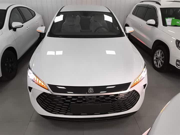 Фото 3 - BYD Qin Plus