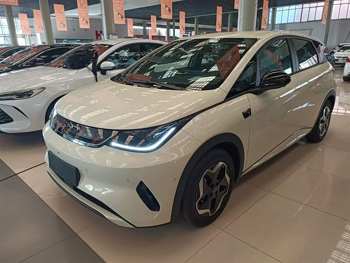 Фото 2 - BYD Dolphin